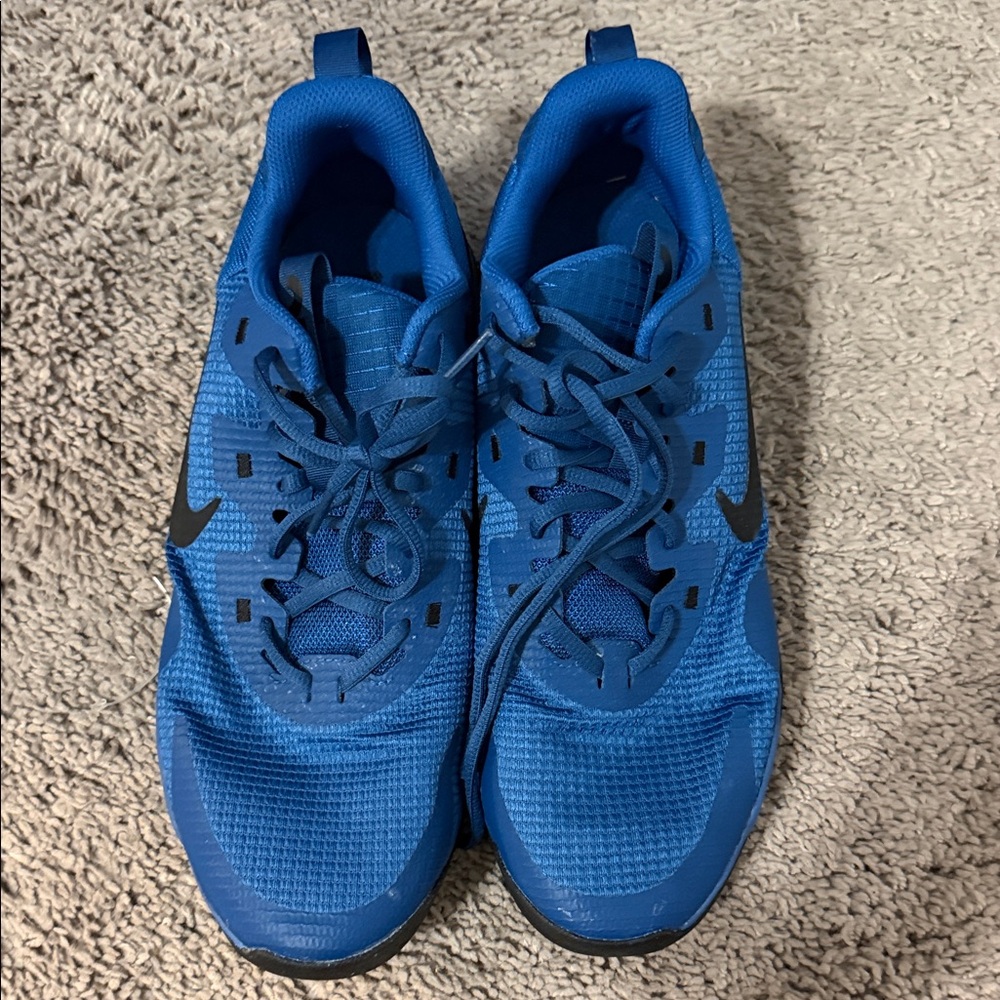 Nike Royal Blue Running Shoes with Black Swoosh